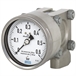 Differential pressure gauge